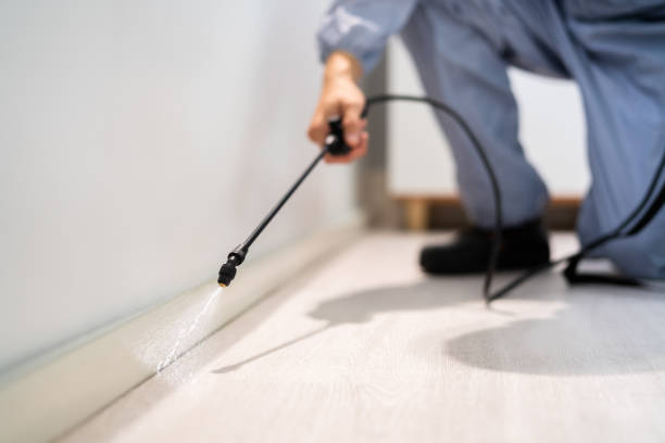 Licensed Pest Control service in Tashua, CT - Show Me Pest Control